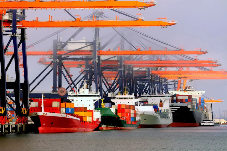 e-Customs Services | SGS Bulgaria