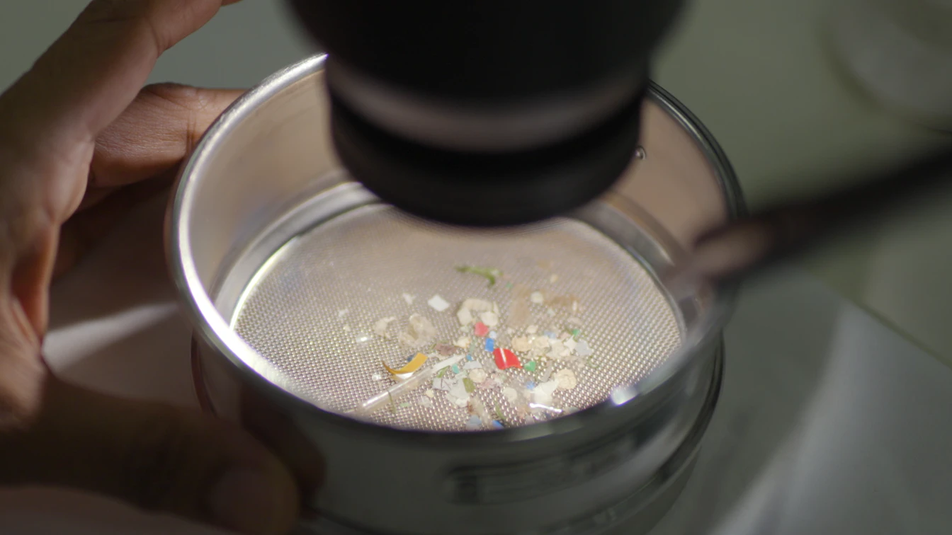 Our Impact on Sustainability: Monitoring Microplastics Pollution | SGS