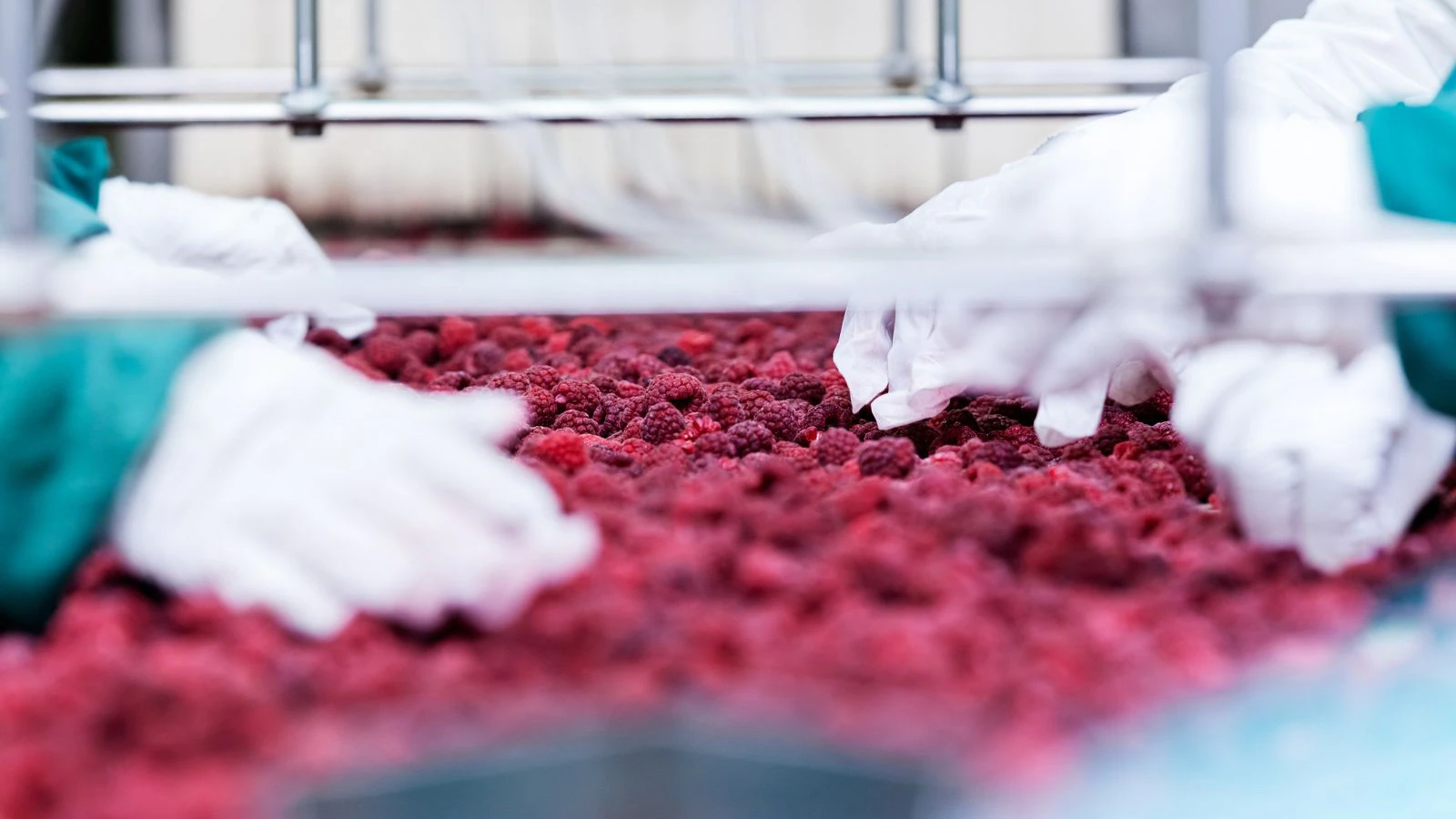 Food Quality & Safety Inspections | SGS Australia