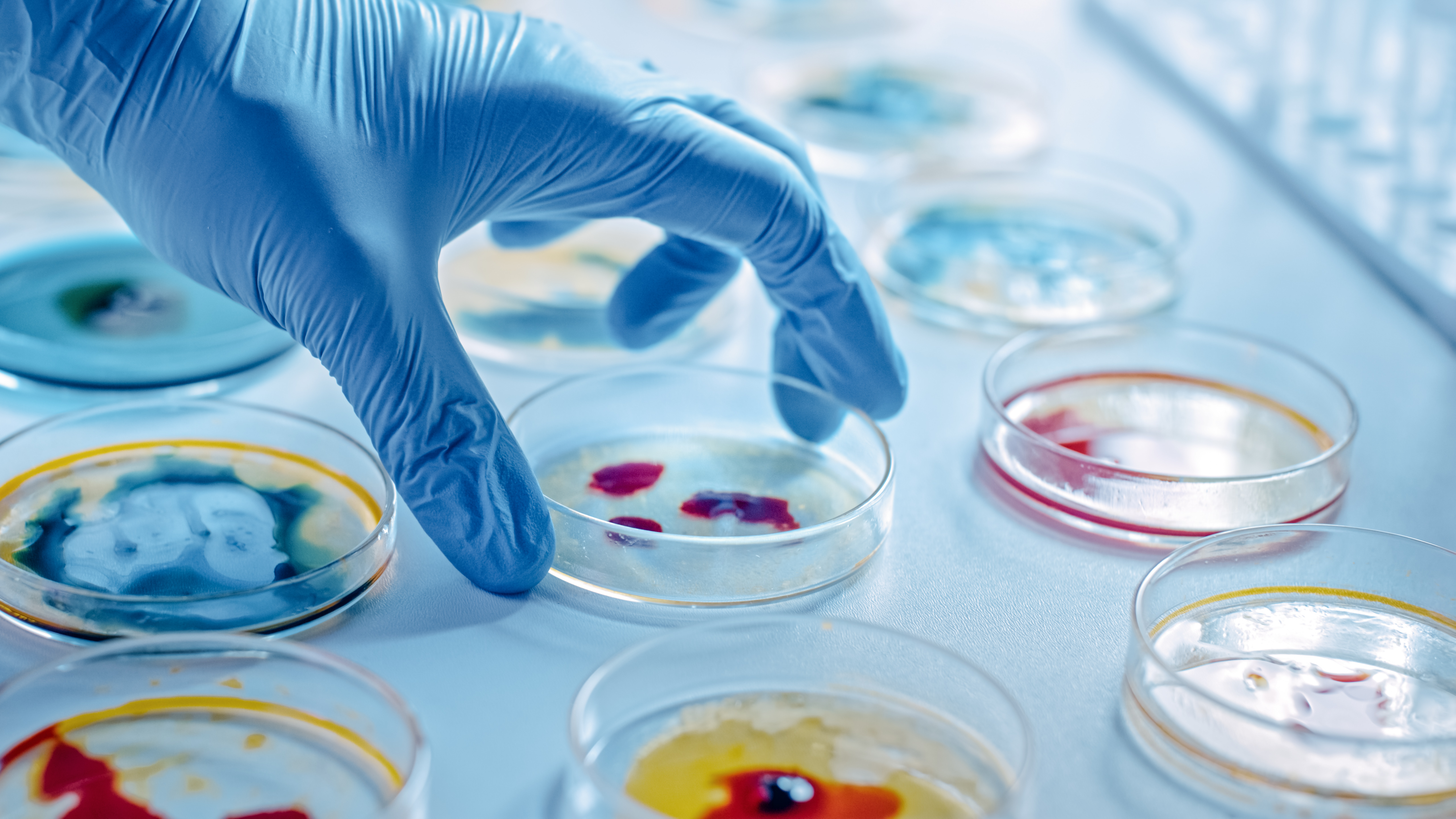 Analytical Microbiological & In-Vitro Testing for Cosmetics & Hygiene