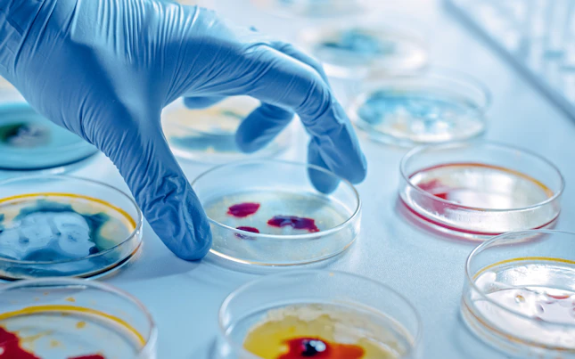 Analytical Microbiological & In-Vitro Testing for Cosmetics & Hygiene