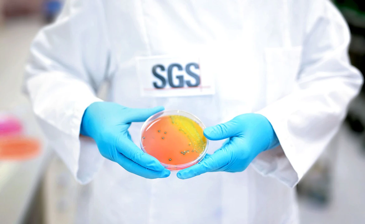 EMVision | SGS
