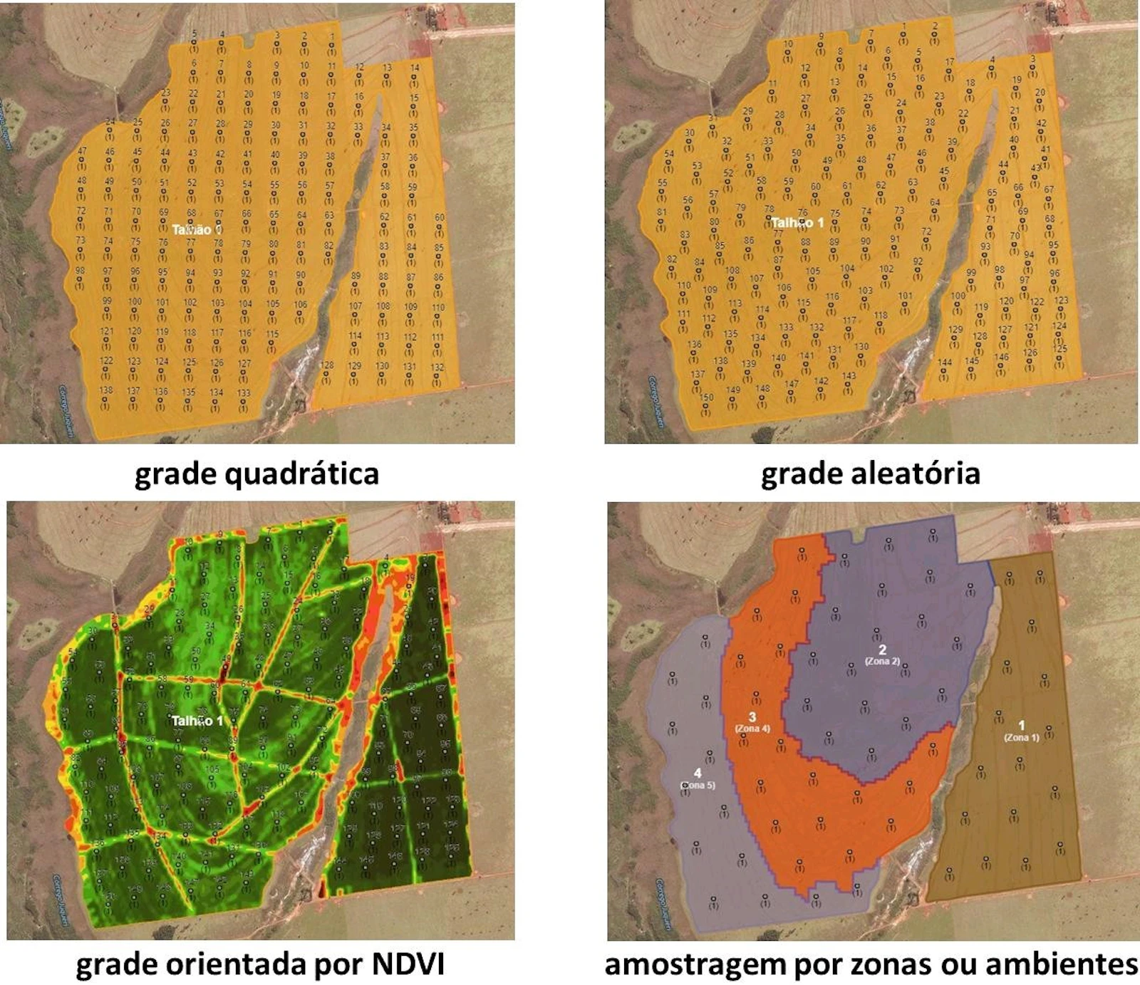 Amostragem de Solo | SGS Brazil