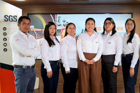 Auditores sgs