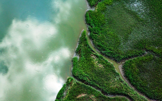 Aerial View of a Delta