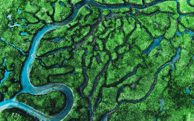 Aerial view of meander river with affluents and green vegetation