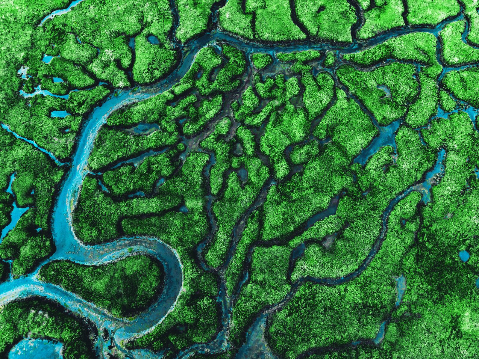 Aerial view of meander river with affluents and green vegetation