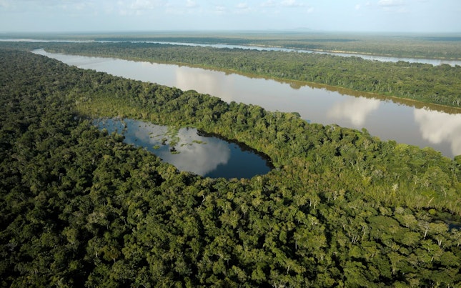 Amazon Rainforest
