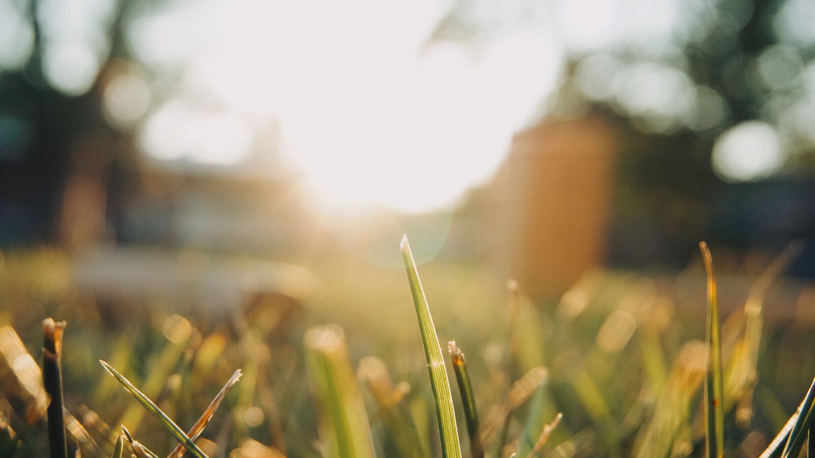 Blur Nature Background