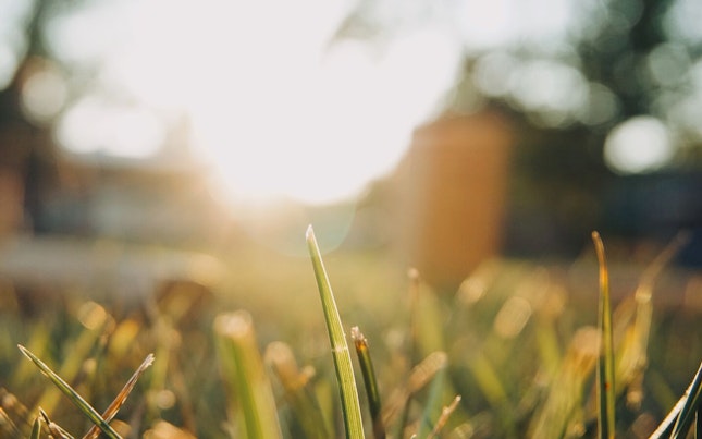 Blur Nature Background