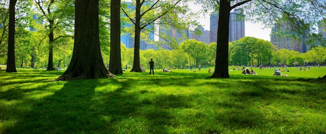Central Park, New York, USA