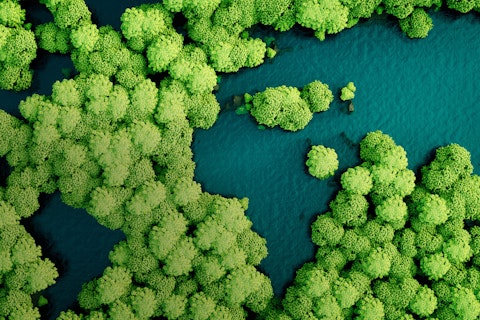 Check Vision Concept