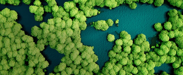 Check Vision Concept