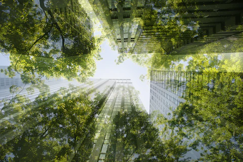Paysage urbain verdoyant