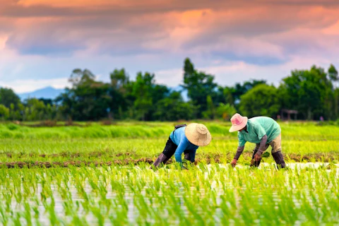 Enhancing Auditors Abilities to Detect Forced Labor