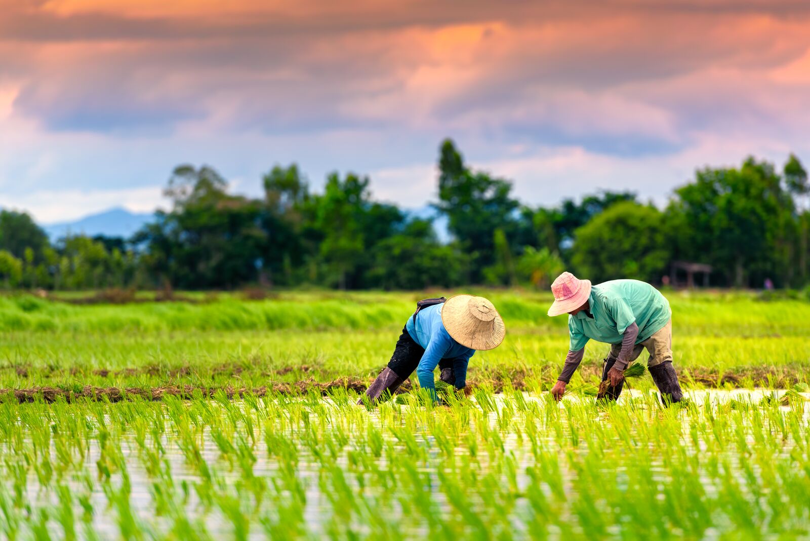 Enhancing Auditors Abilities to Detect Forced Labor
