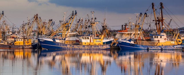 Marine Stewardship Council