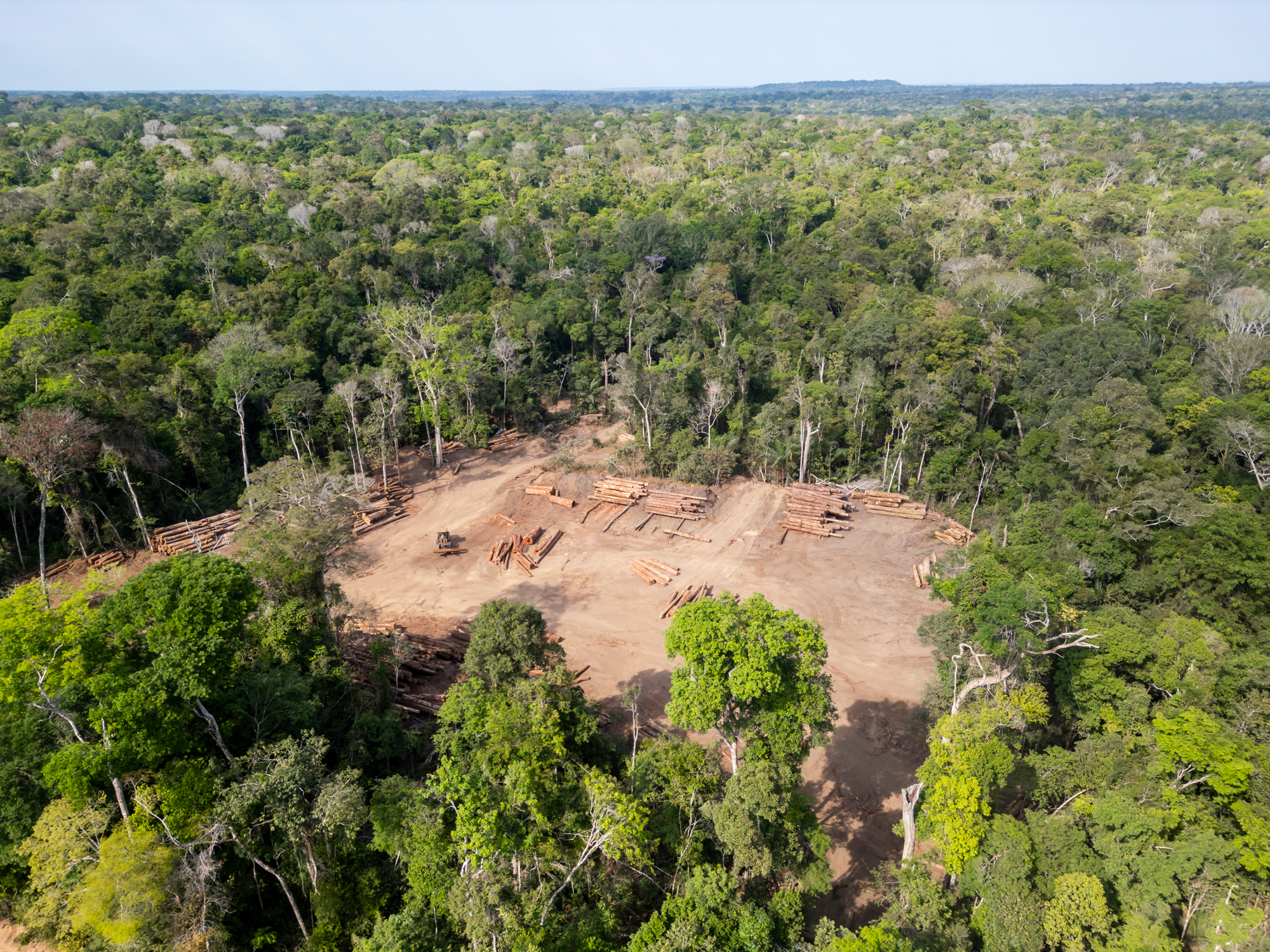 Guia completo do EUDR