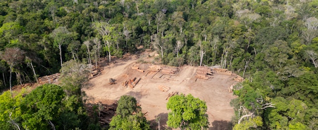 Guia completo do EUDR