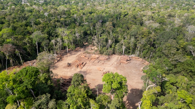 Guia completo do EUDR: regras, prazos e obrigações Guia completo do EUDR