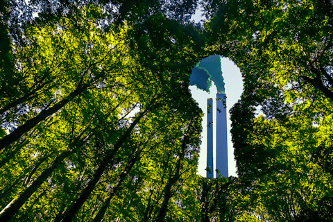 Greenwashing and Verifying