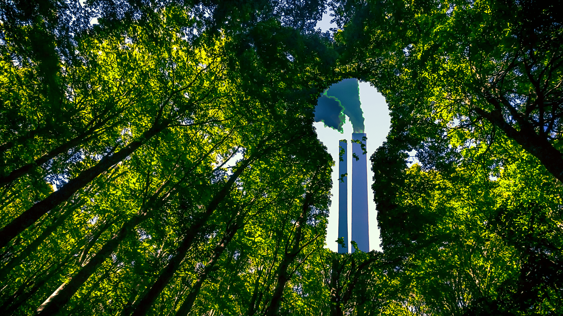 Greenwashing and Verifying