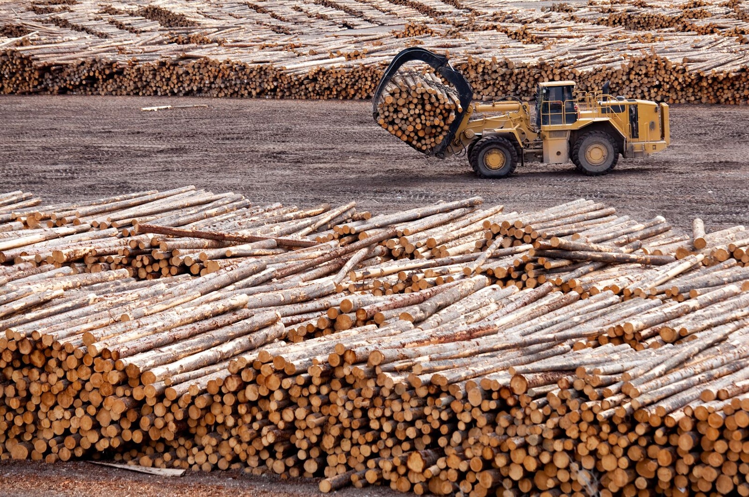 Logging and Forestry Industry