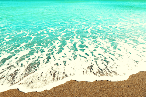 Onshoring and Nearshoring