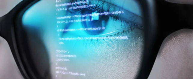 Programming Code of Computer Monitor Reflecting in Woman's Eyeglasses