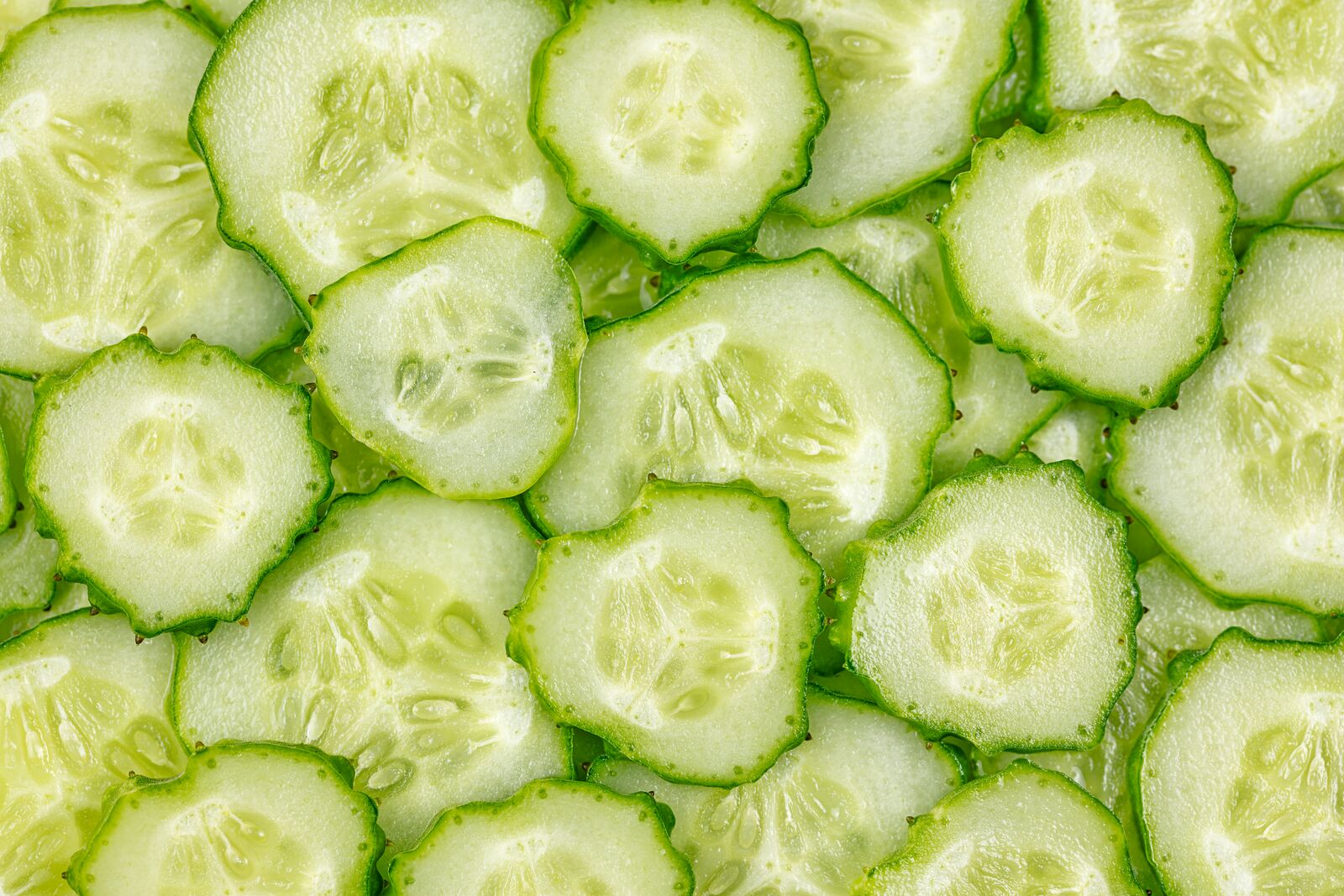 Slices of Cucumber