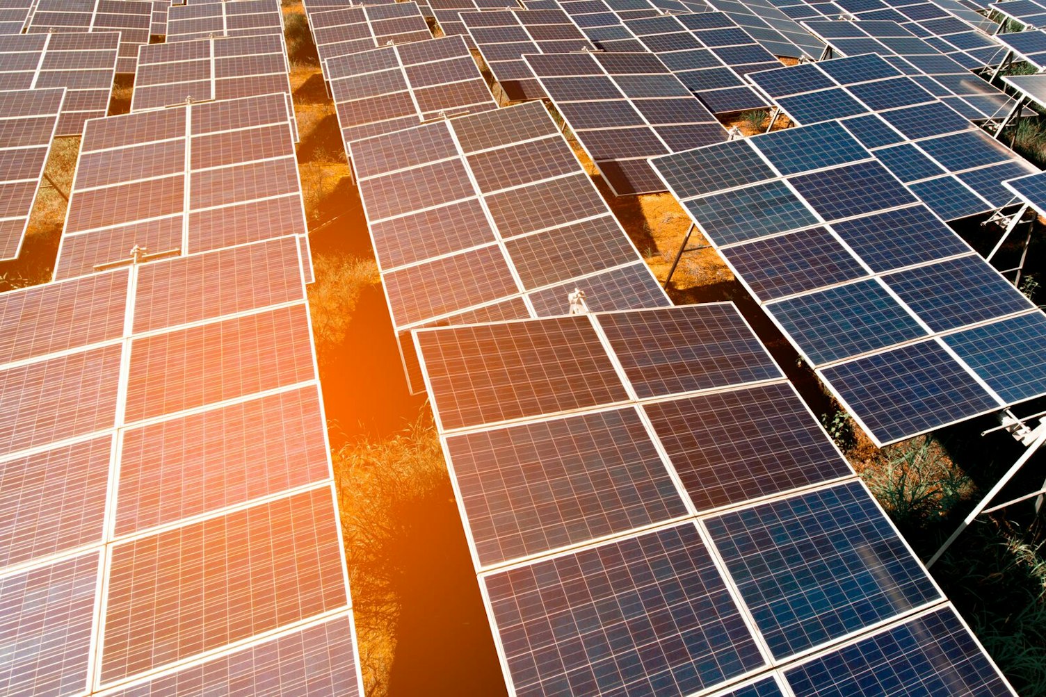 Solar Farm at Sunset