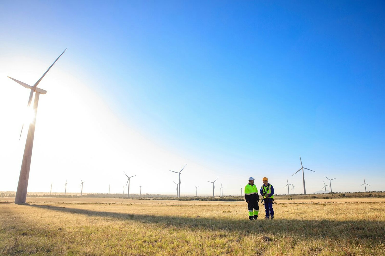 Wind Farm