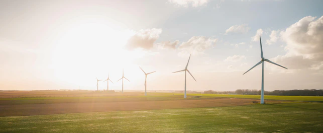 Wind Turbines and Solar Panels Farm in a Field