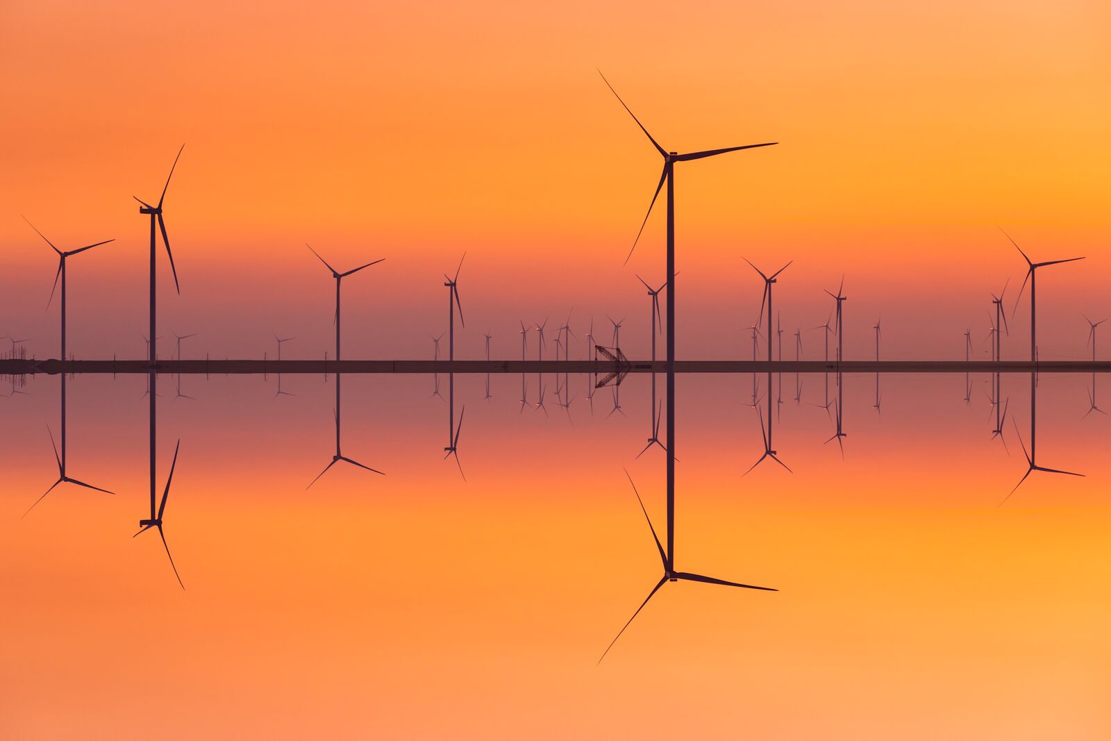 Wind Turbines on the Seashore at Sunset