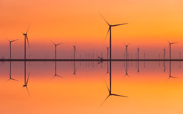 Wind Turbines on the Seashore at Sunset