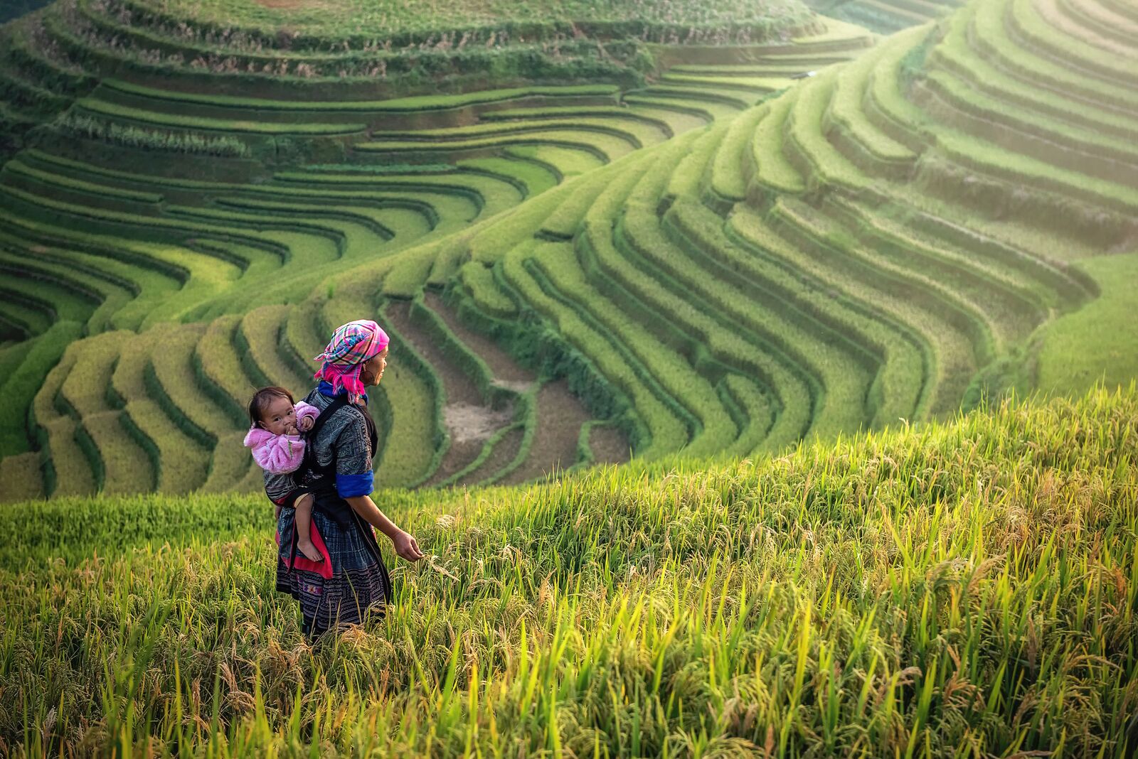 Woman Working in Rice Field