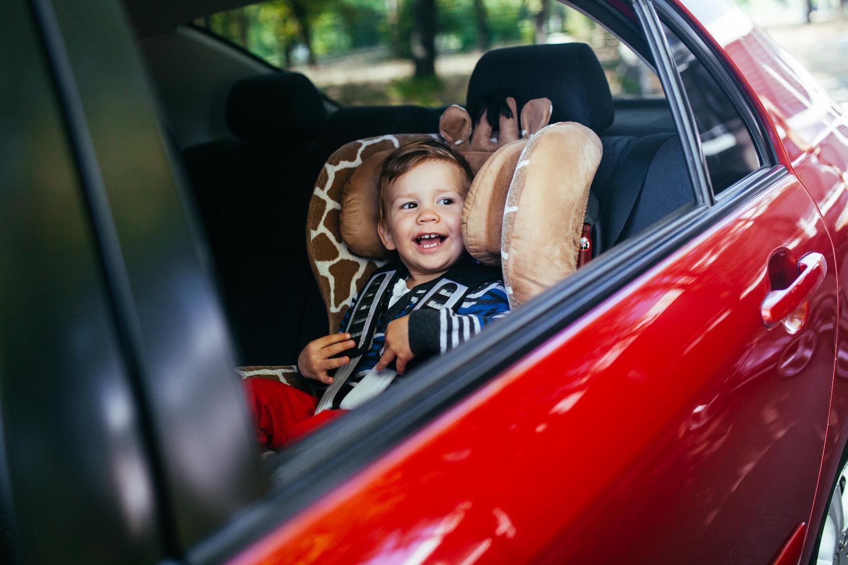 Adorable baby boy in safety car seat