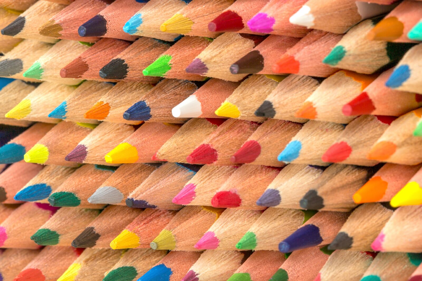 Assorted Colored Pencils