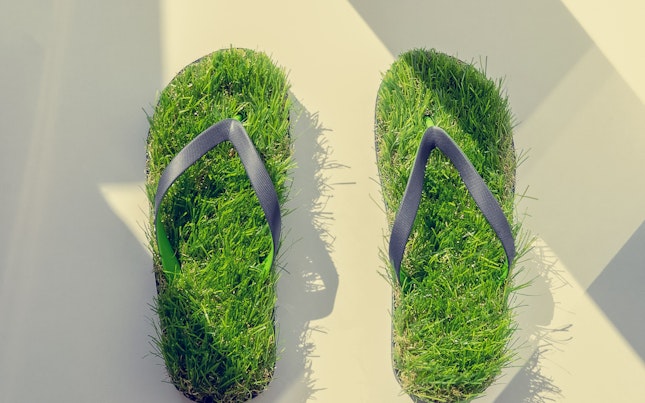 Biodegradability and Compostability