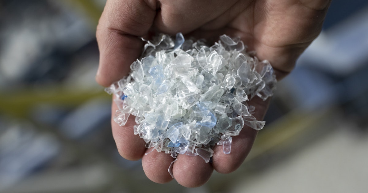 How Recycling Supports a Reduction in Plastic Pollution | SGS USA