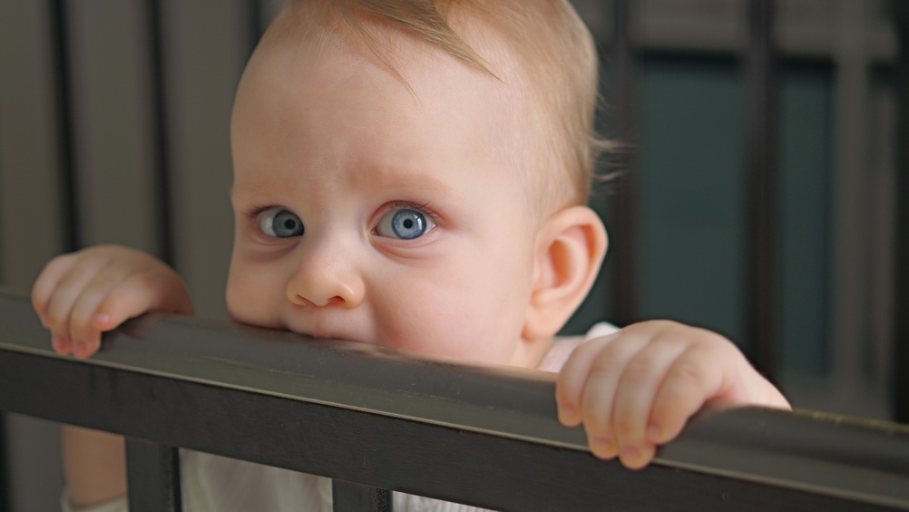 Close up of a curious baby with big blue eyes teething in a crib
