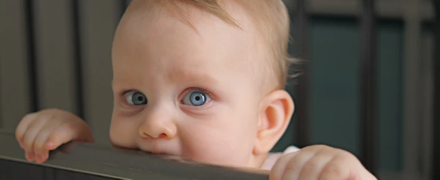 Close up of a curious baby with big blue eyes teething in a crib