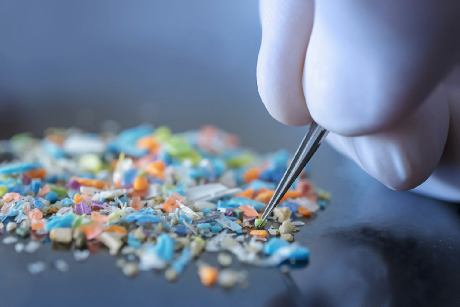 Macro shot of a person with medical gloves and tweezers inspecting a pile of micro plastics