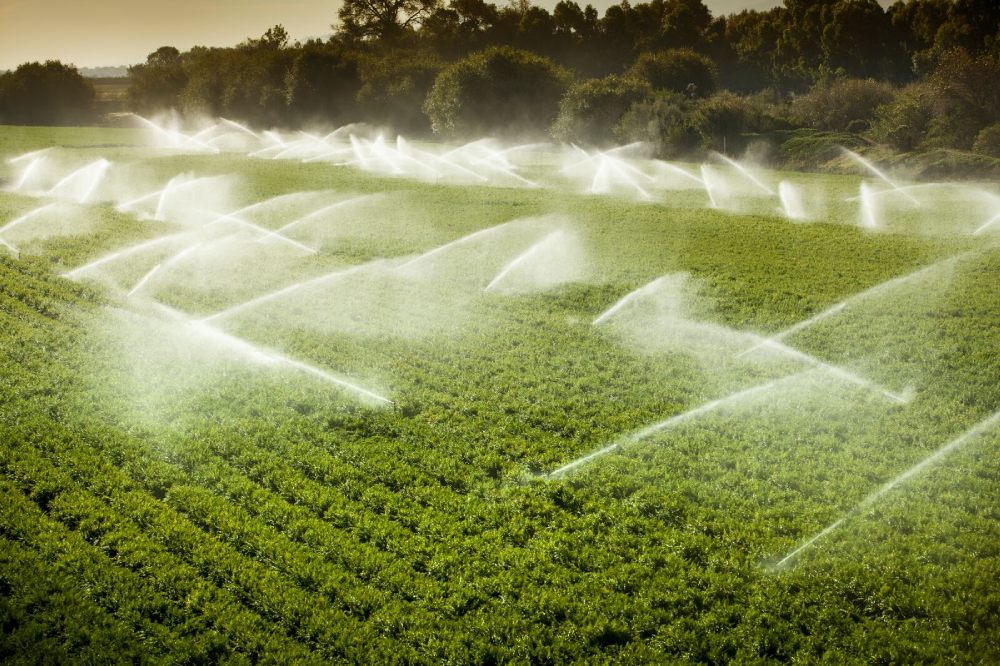 Irrigation Arroseur Arrosage des Cultures