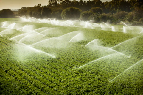 Irrigation Arroseur Arrosage des Cultures
