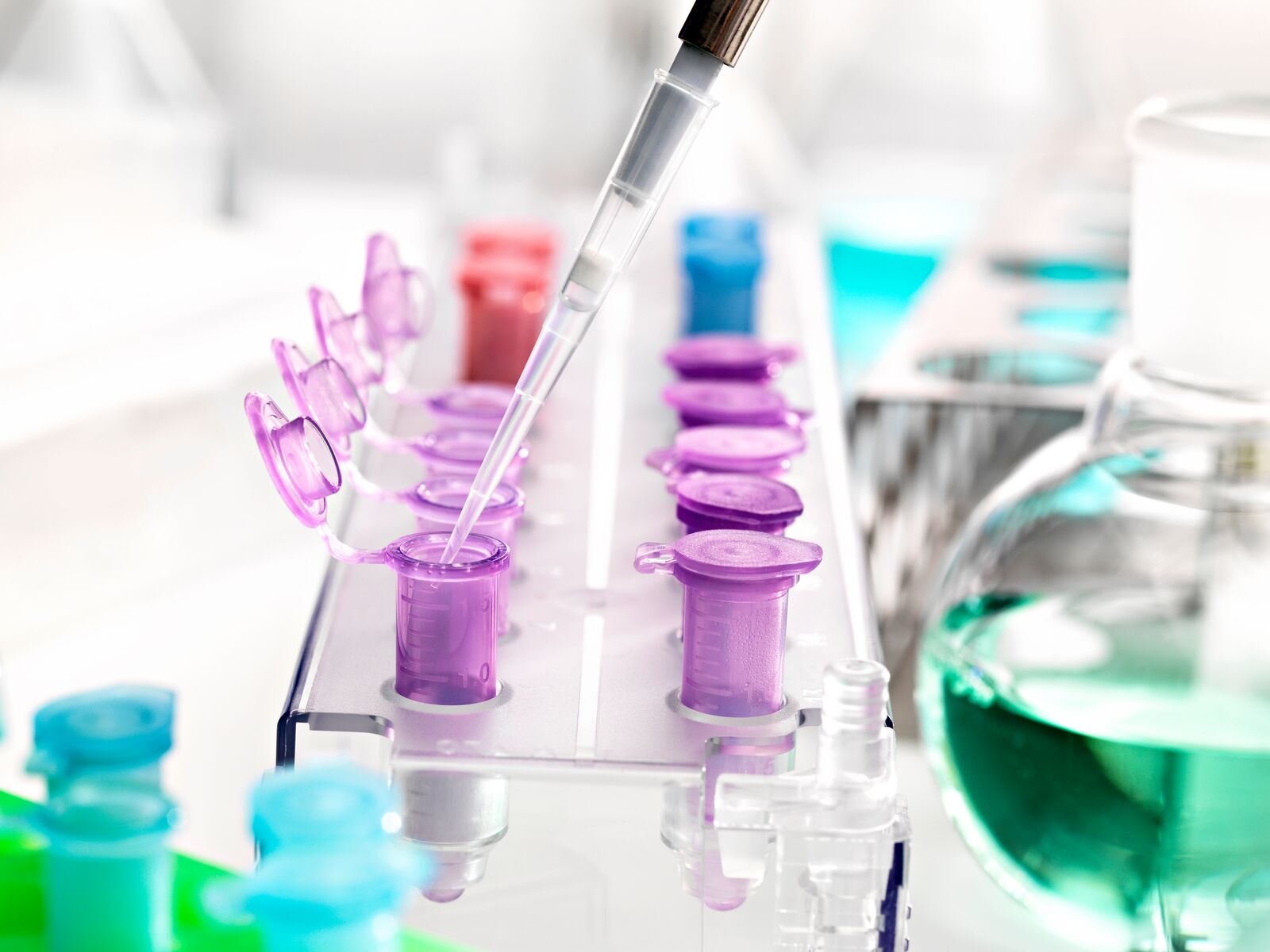 Experiment in the Laboratory