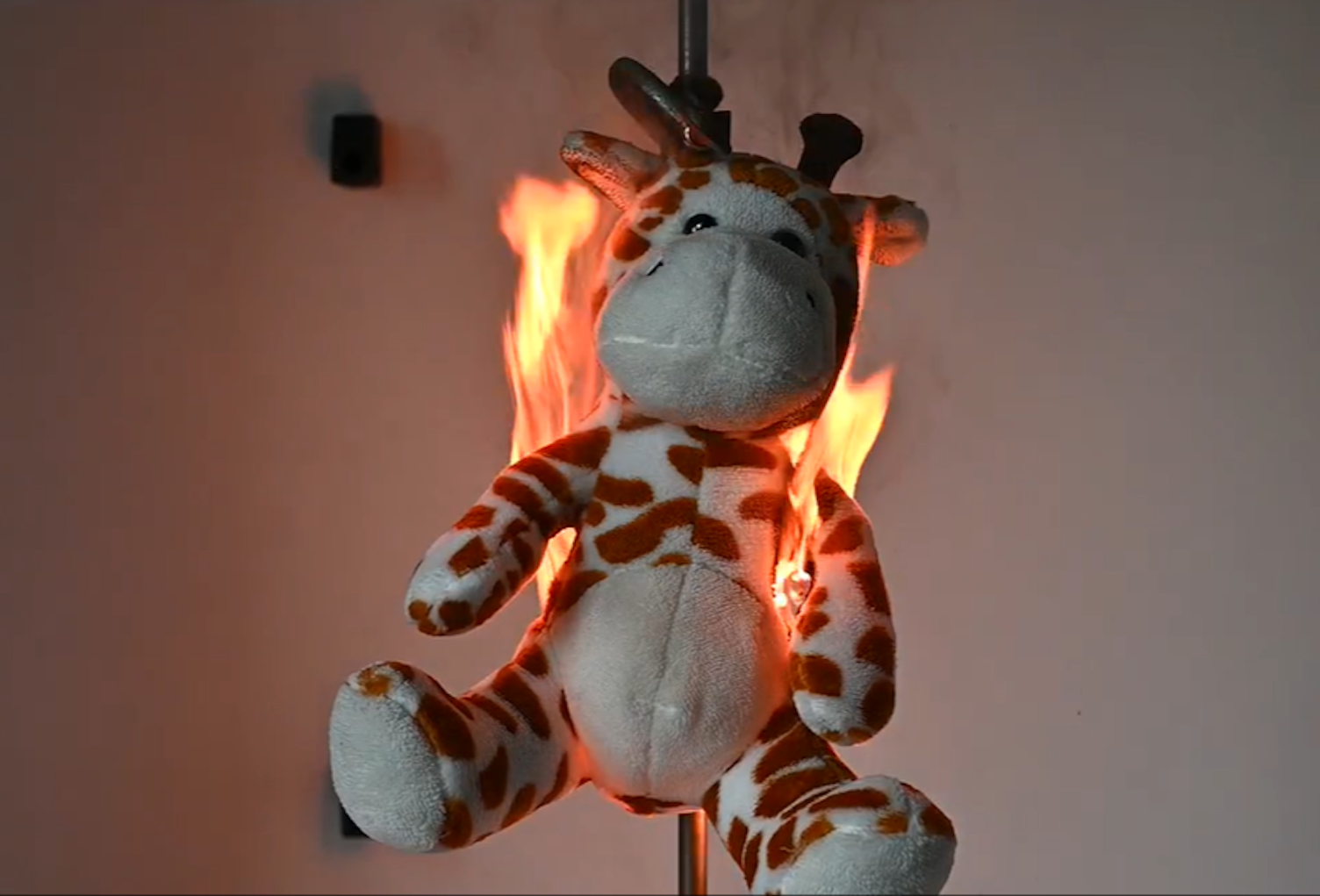 Flammability test Toy