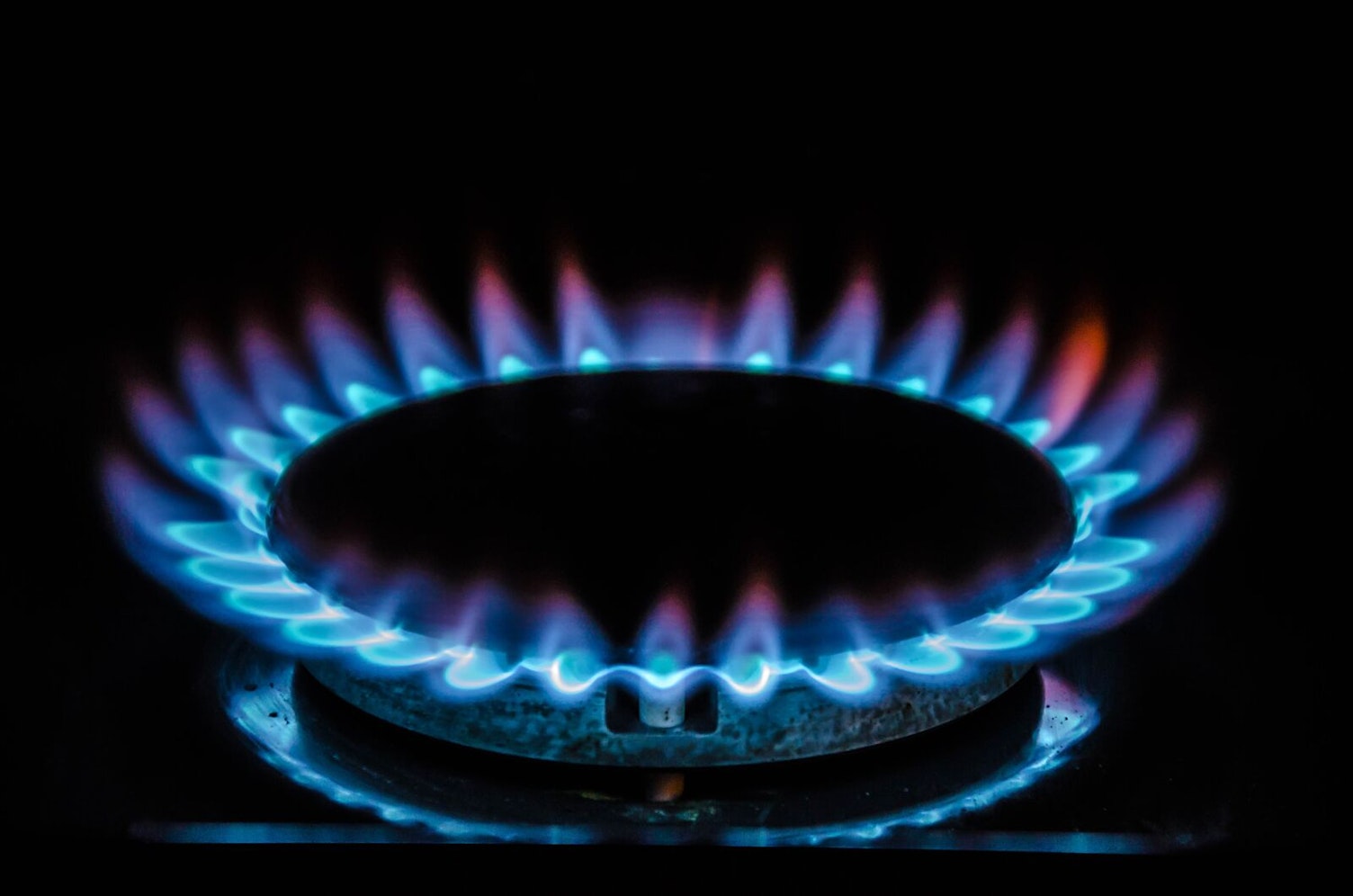 Gas Stove