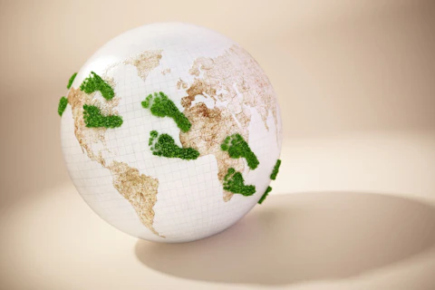 Green Footprints on a Globe