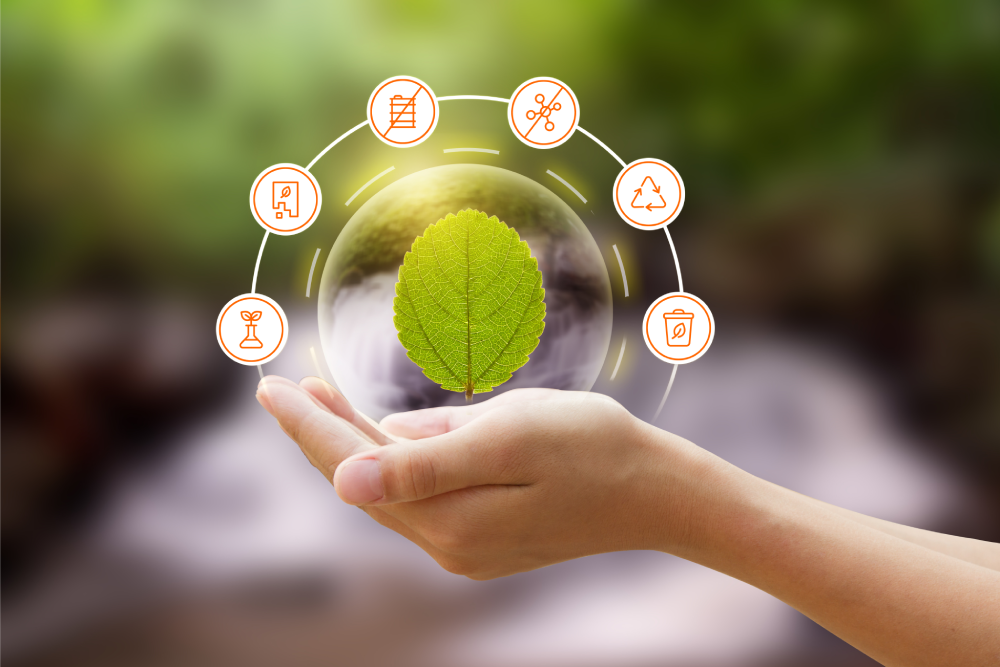 Can You Trust ‘Green’ Product Claims?